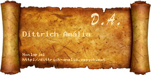 Dittrich Amália névjegykártya